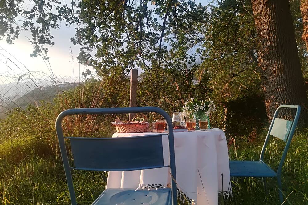 Photo of Outdoor in Cetraro