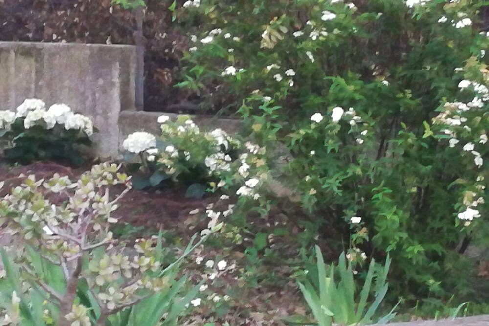 Photo of Outdoor in Cetraro