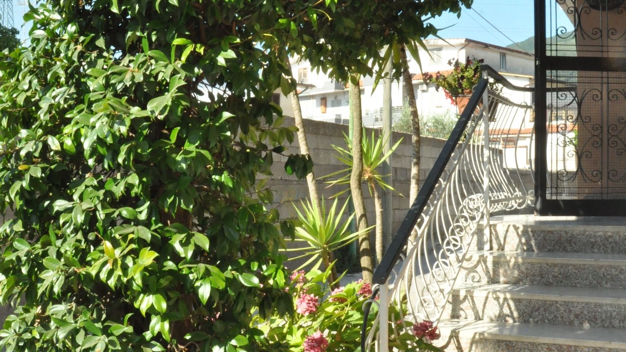 Photo of Outdoor in Ercolano