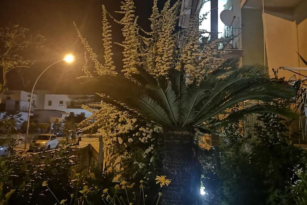 Photo of Outdoor in Capua