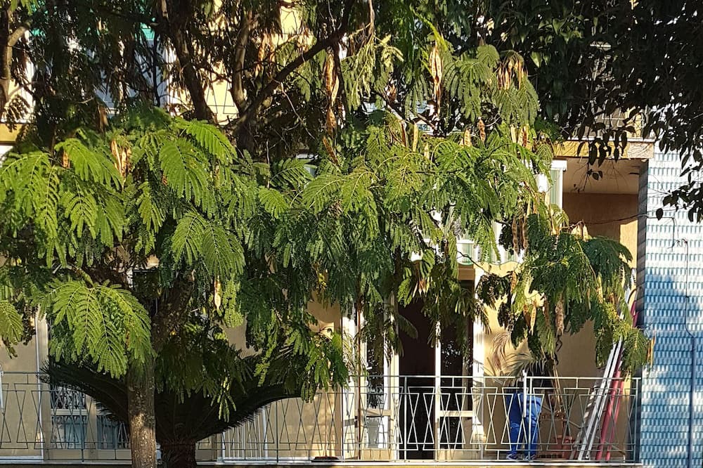 Photo of Others in Capua