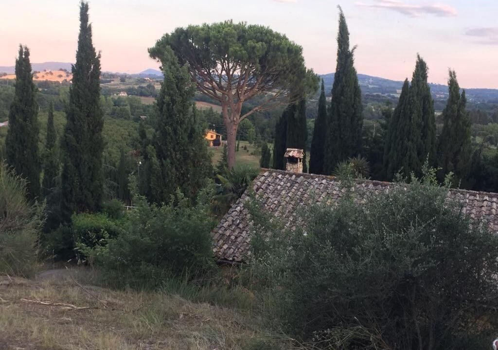 Photo of Outdoor in Capranica