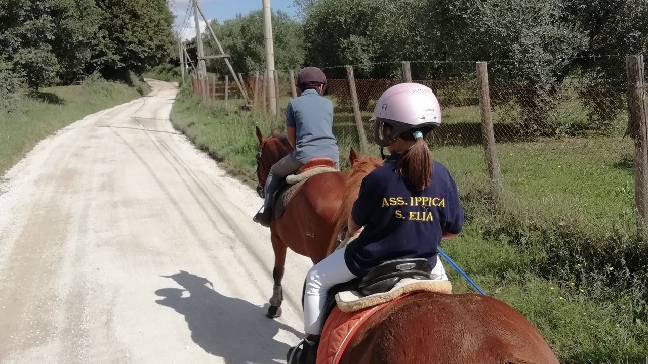 Photo of Others in Capranica