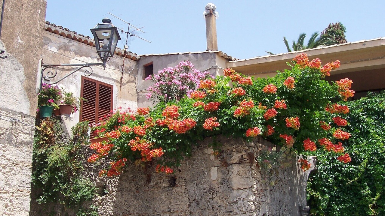 Photo of Outdoor in Gerace
