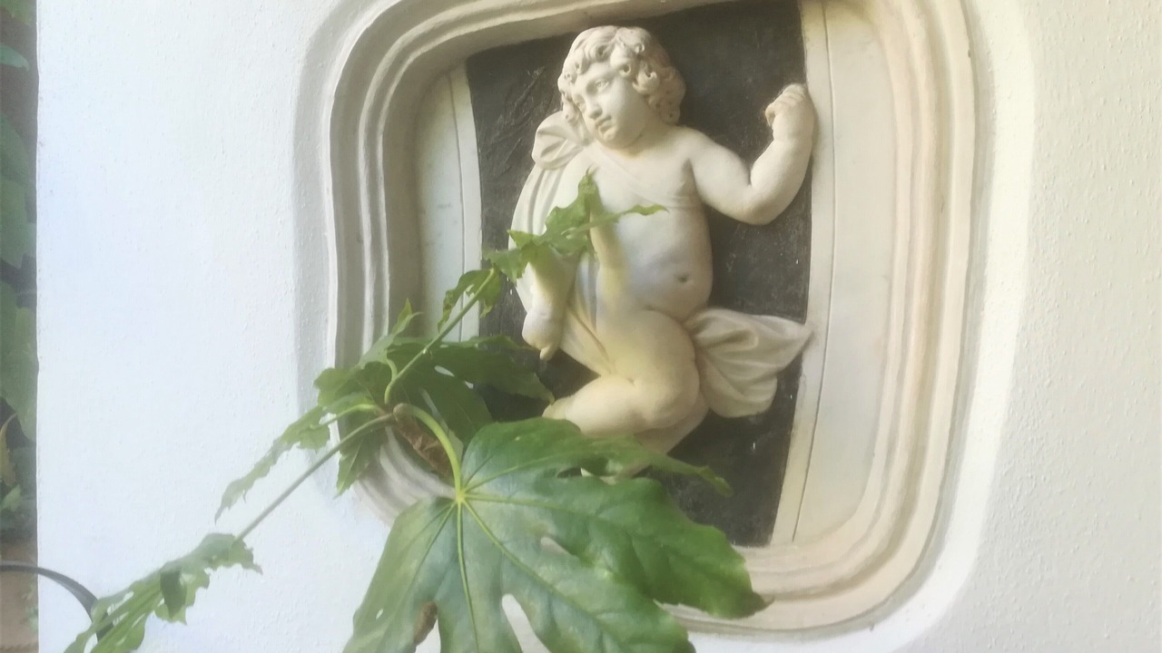 Photo of Others in Gerace
