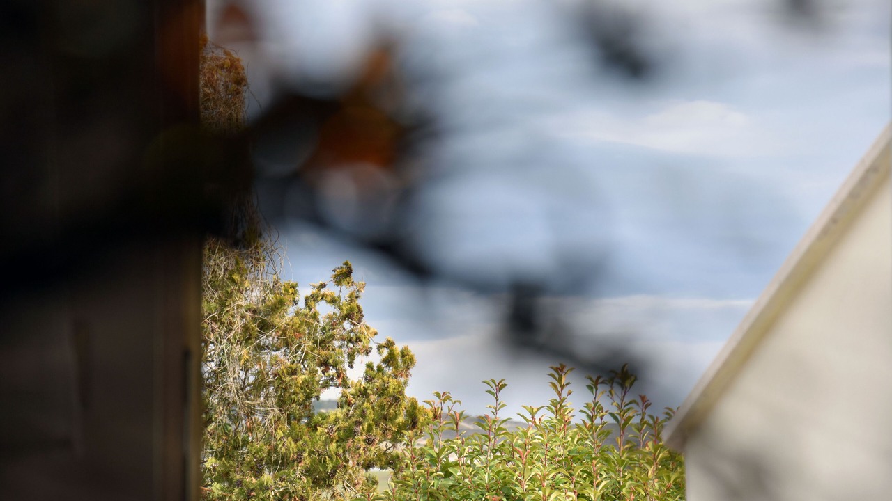 Photo of Others in Matera