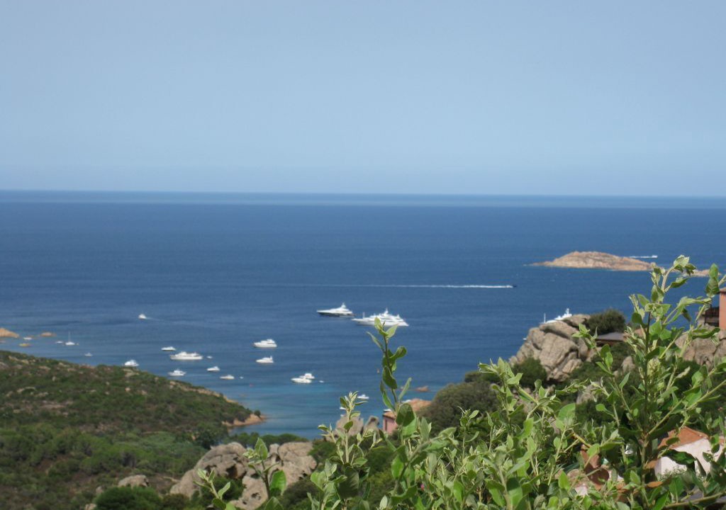 Photo of Others in Pantogia