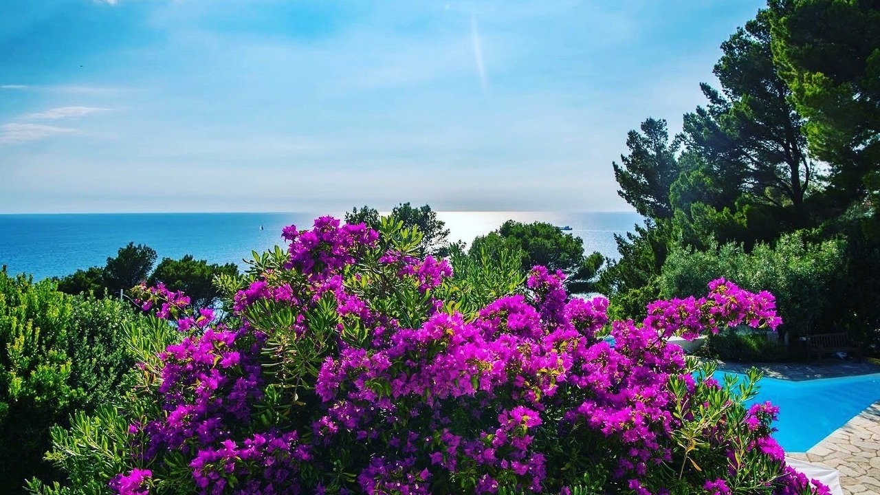 Photo of Patio Balcony in Anacapri