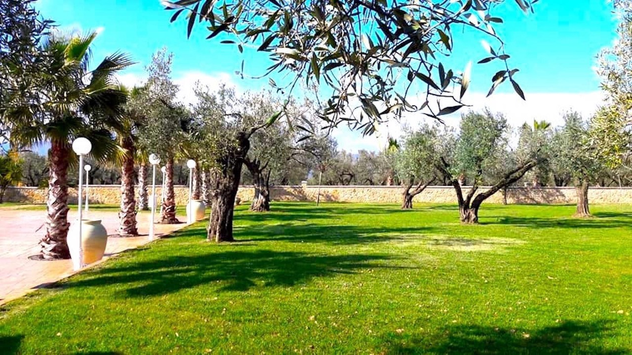 Photo of Outdoor in Maida
