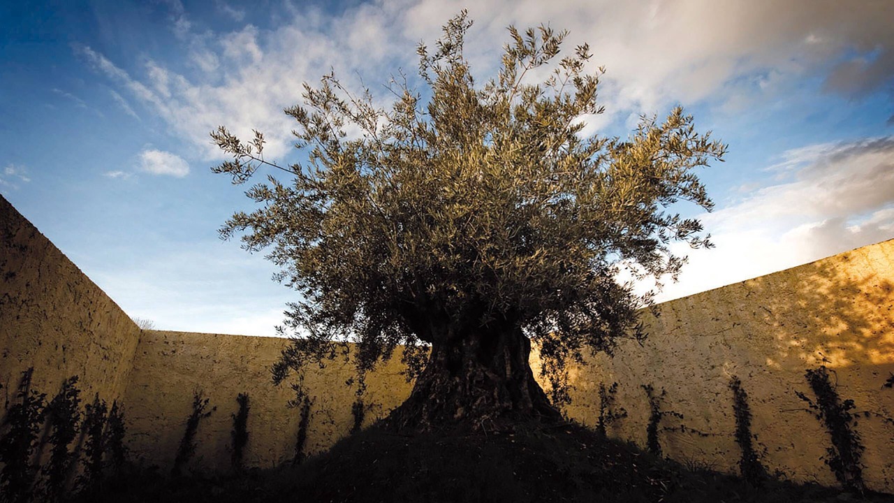Photo of Outdoor in Borgo Faiti