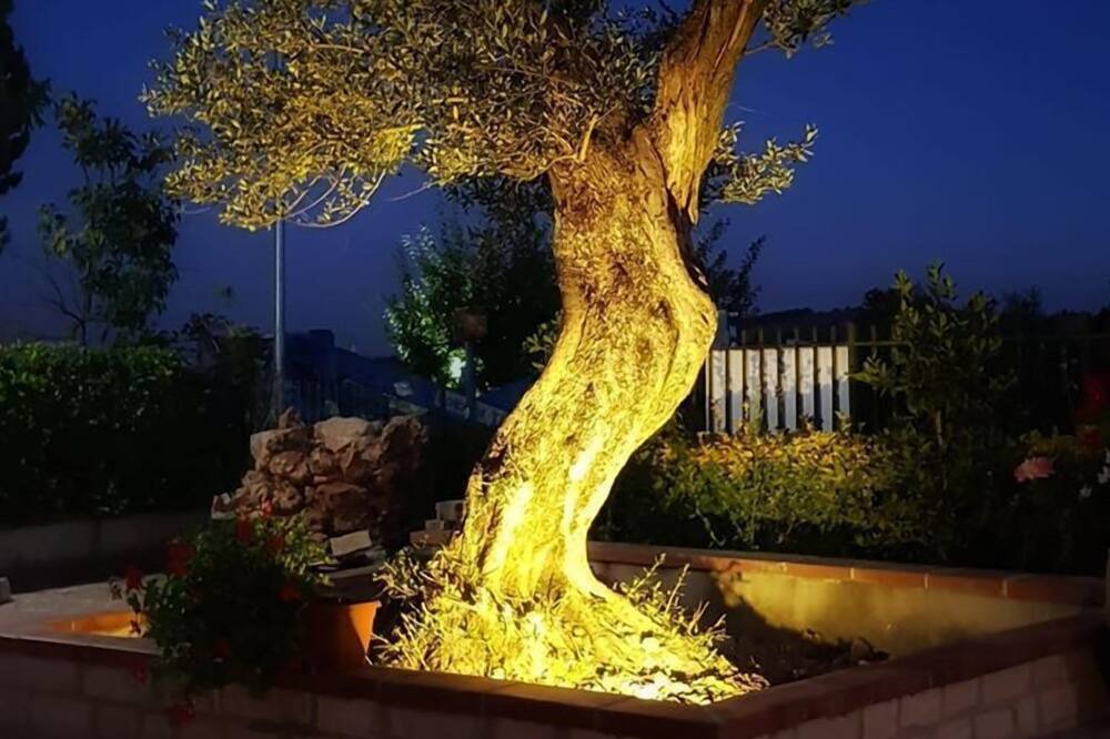 Photo of Outdoor in Circello