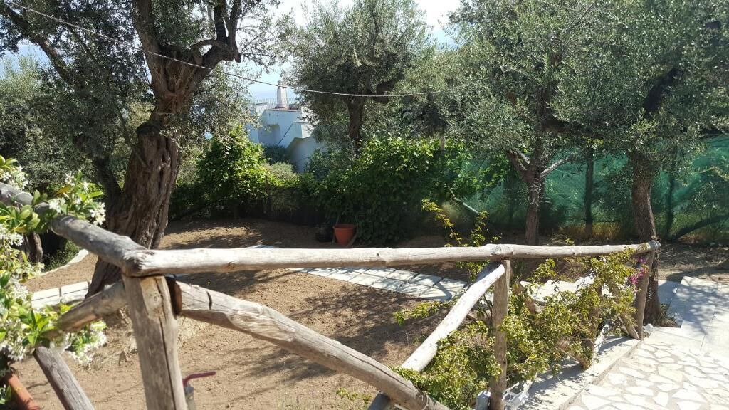 Photo of Outdoor in Priora