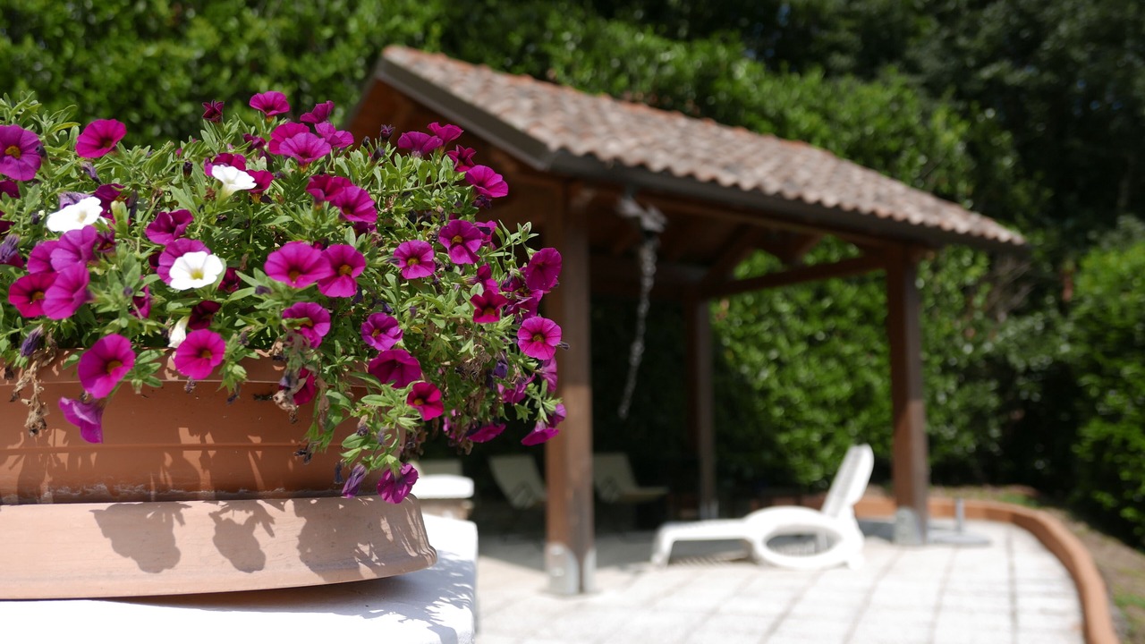 Photo of Outdoor in Prata di Principato Ultra