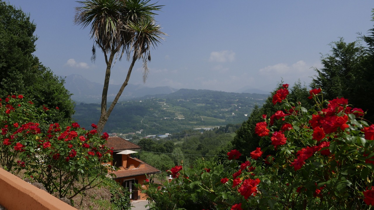 Photo of Outdoor in Prata di Principato Ultra