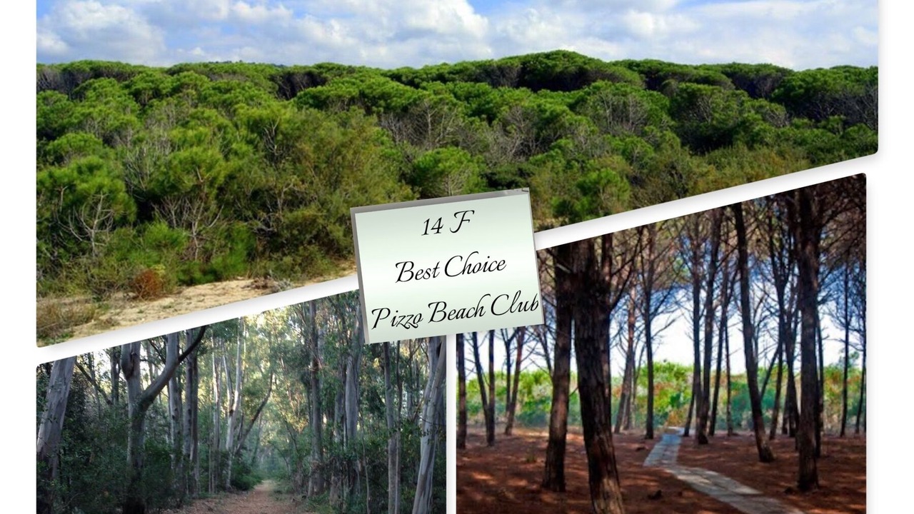 Photo of Others in Pizzo