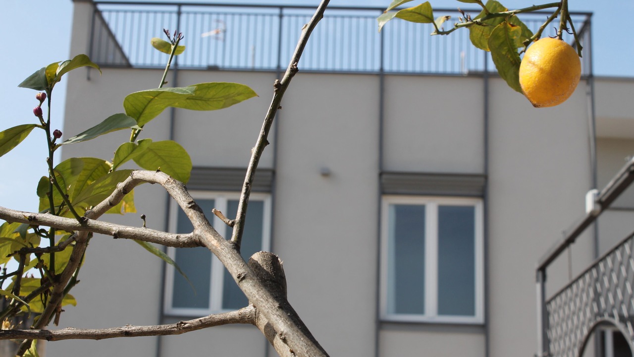 Photo of Outdoor in Torre del Greco