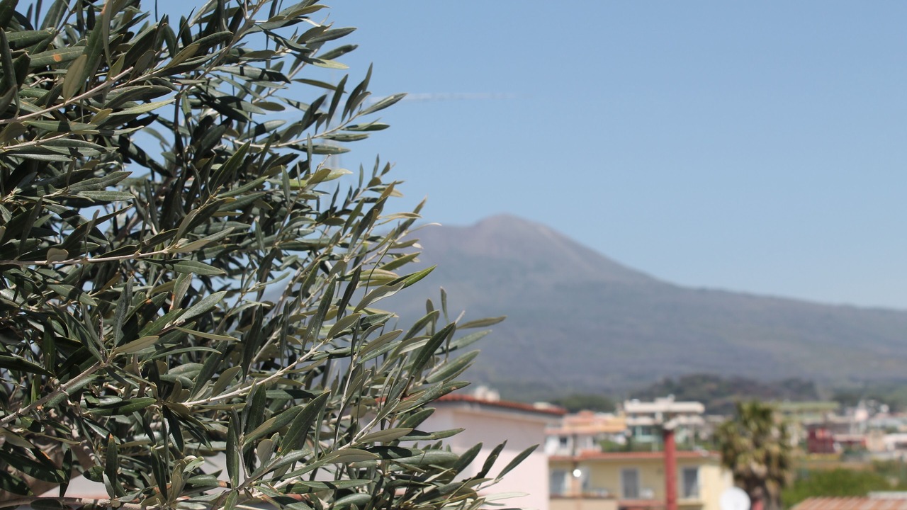 Photo of Others in Torre del Greco