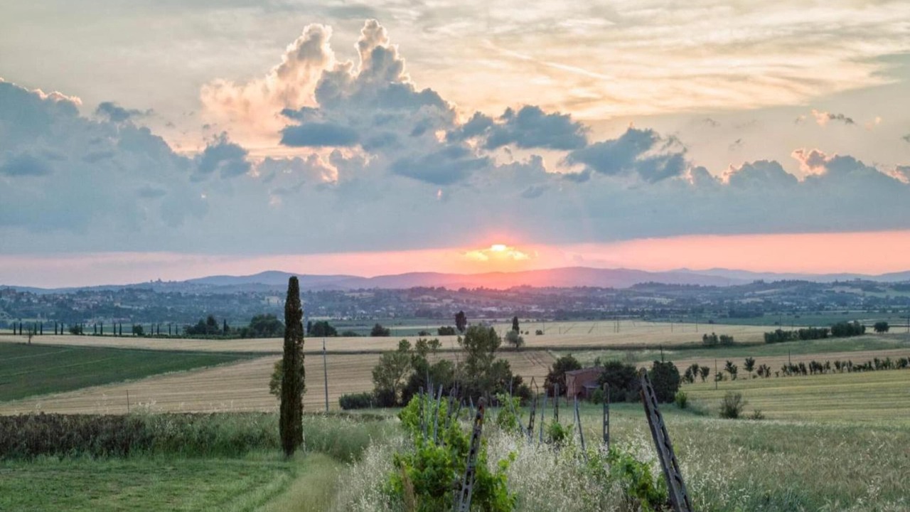 Photo of Others in Cortona