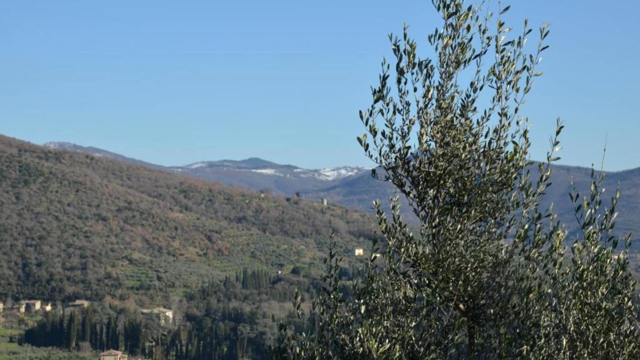 Photo of Others in Cortona