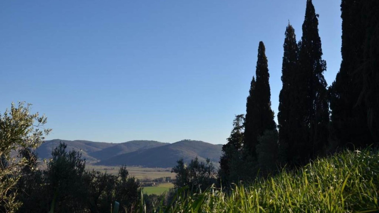 Photo of Others in Cortona