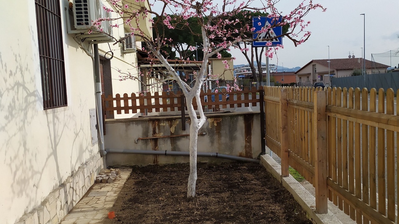 Photo of Outdoor in Torre Angela
