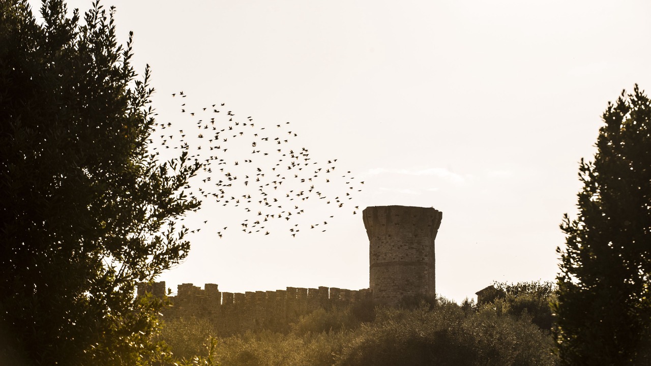 Photo of Outdoor in Isola Polvese