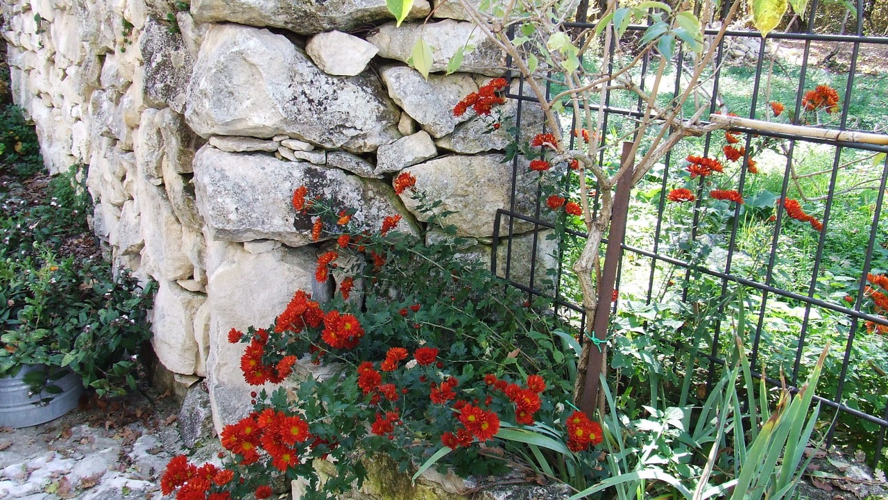 Photo of Outdoor in Abbateggio
