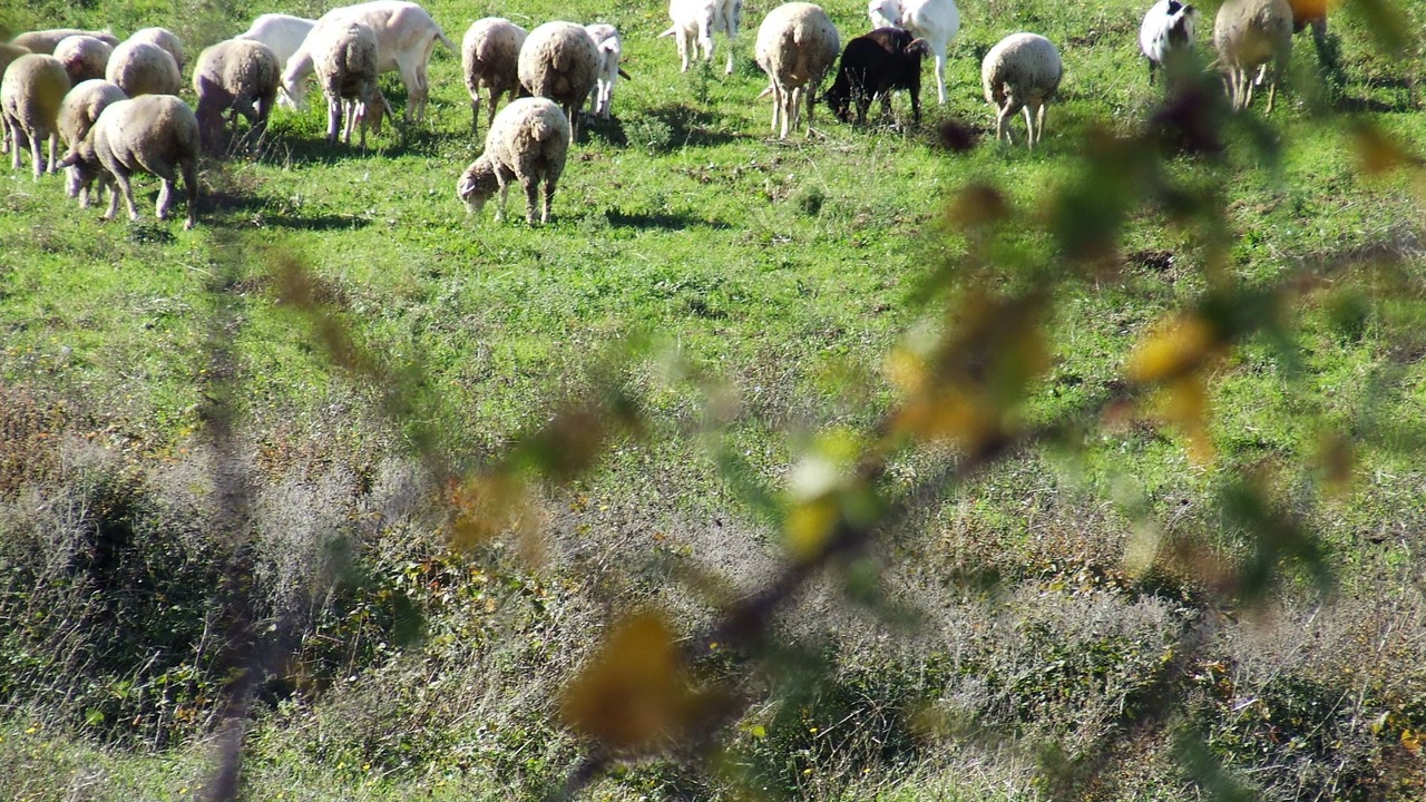 Photo of Outdoor in Abbateggio