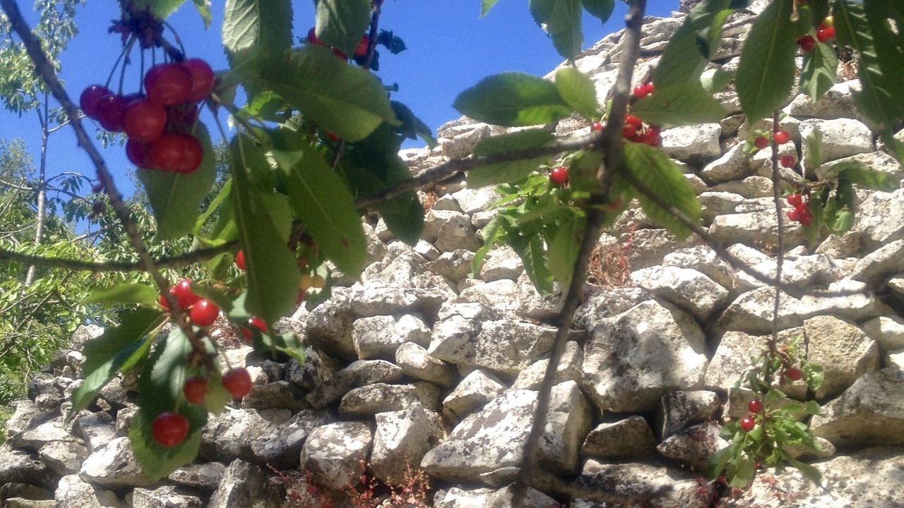 Photo of Outdoor in Abbateggio