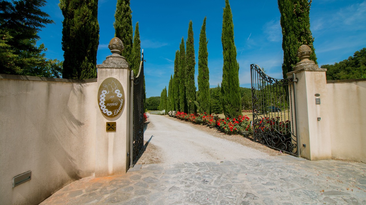 Photo of Outdoor in Cincelli