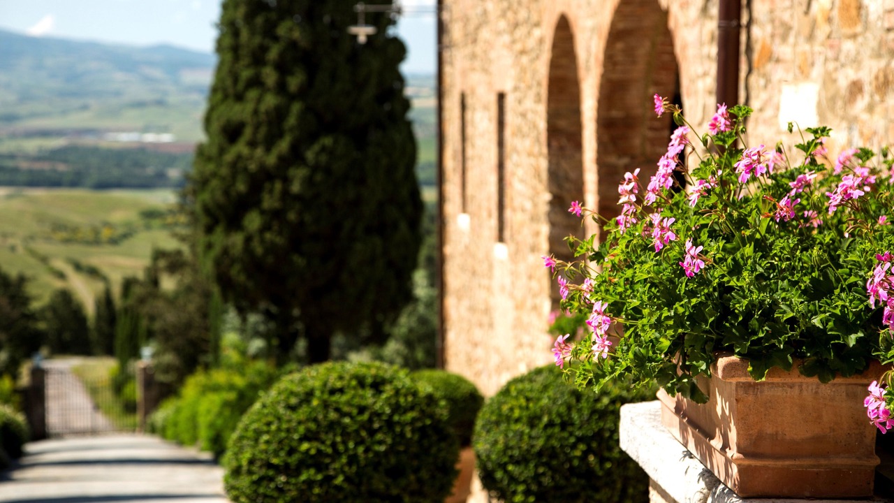Photo of Outdoor in Poggio alle Mura