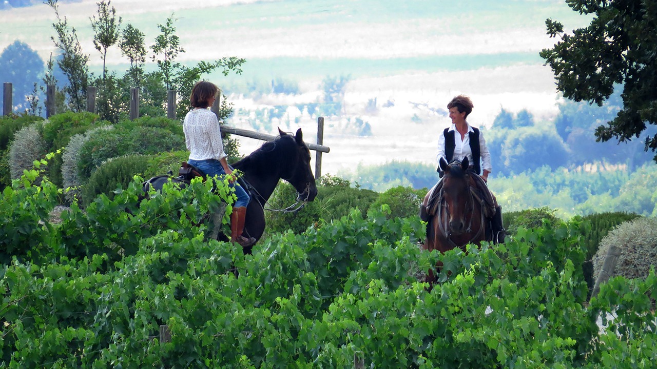 Photo of Others in Poggio alle Mura
