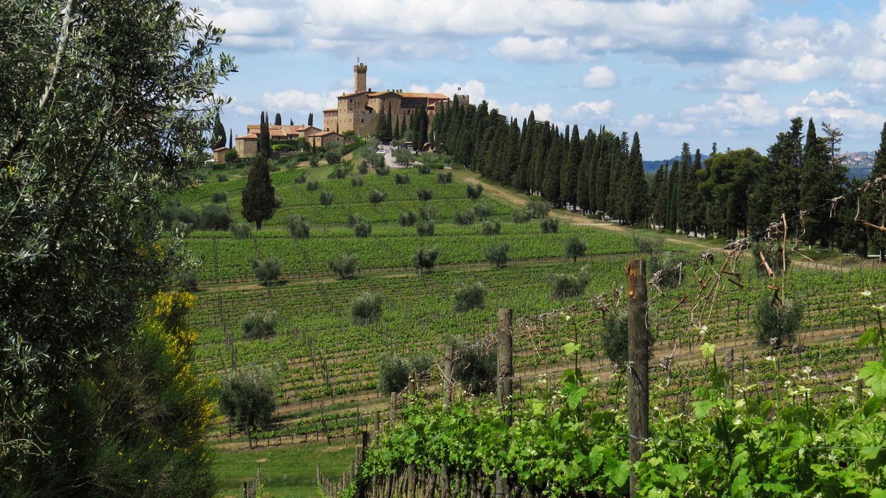 Photo of Outdoor in Poggio alle Mura