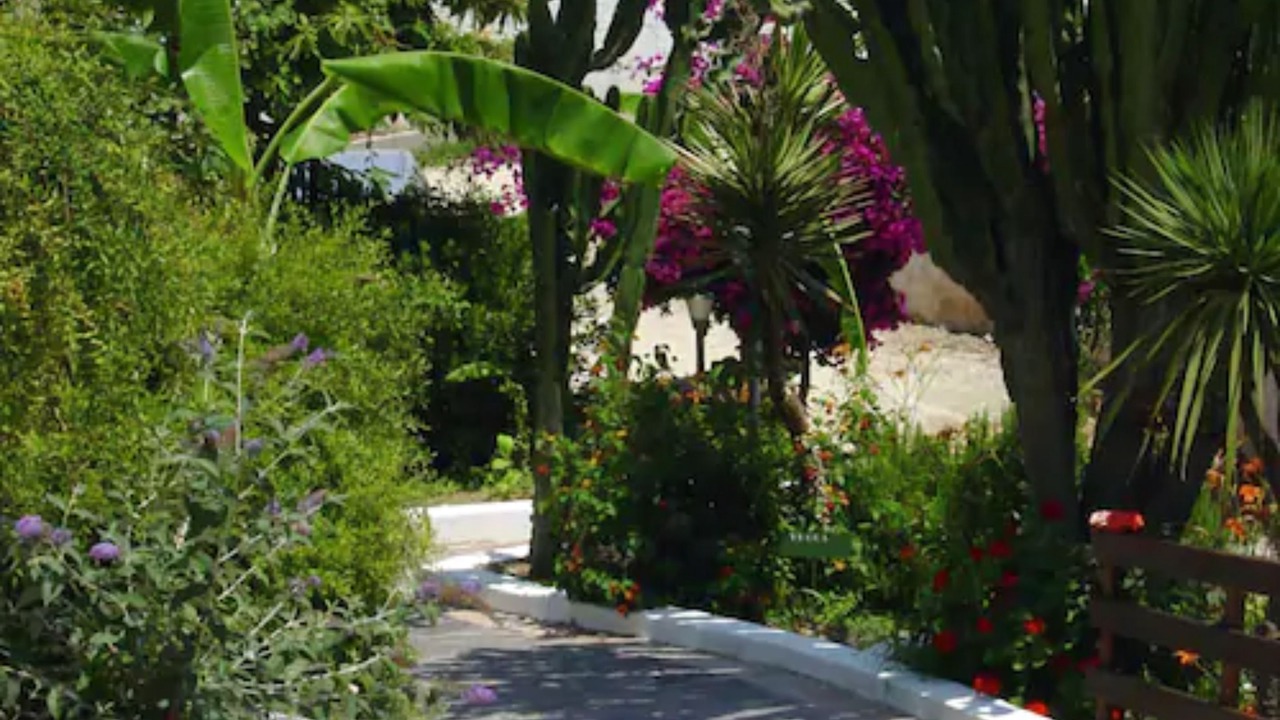 Photo of Outdoor in Parghelia