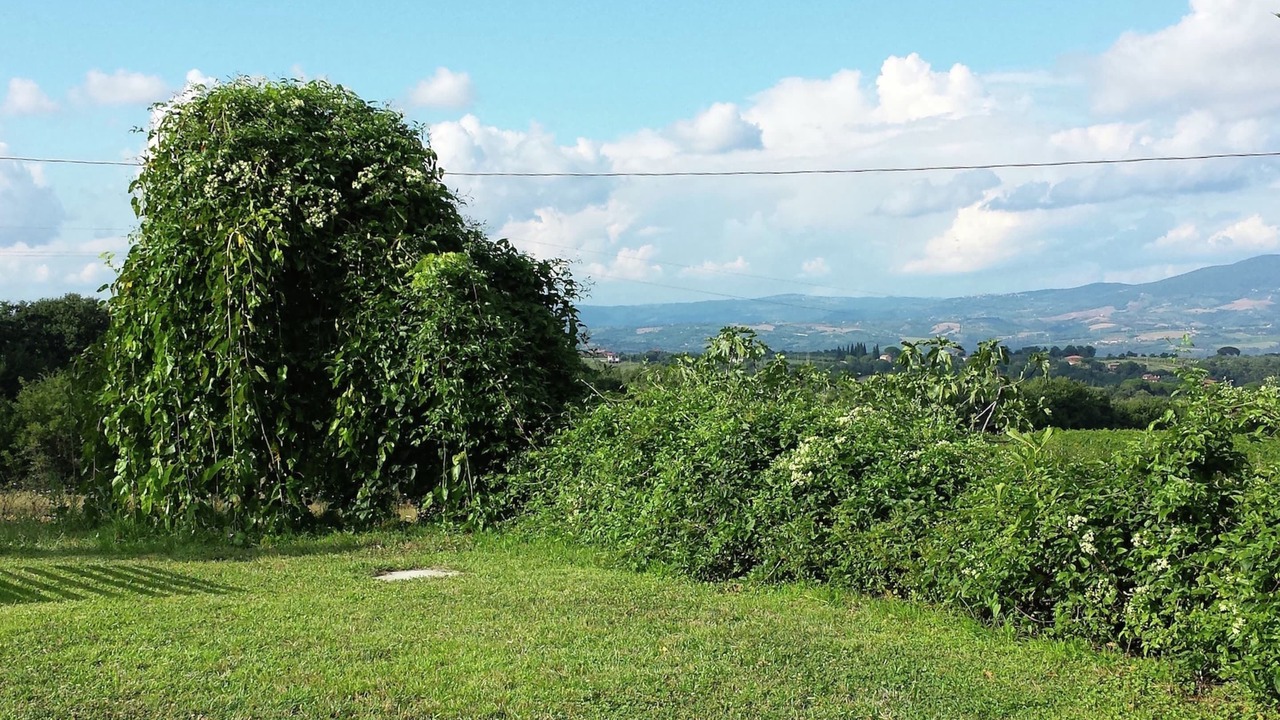 Photo of Outdoor in Civitella d'Agliano