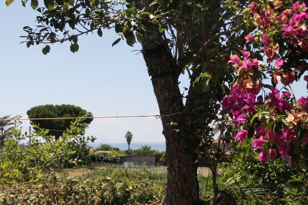 Photo of Outdoor in Torre Ruffa