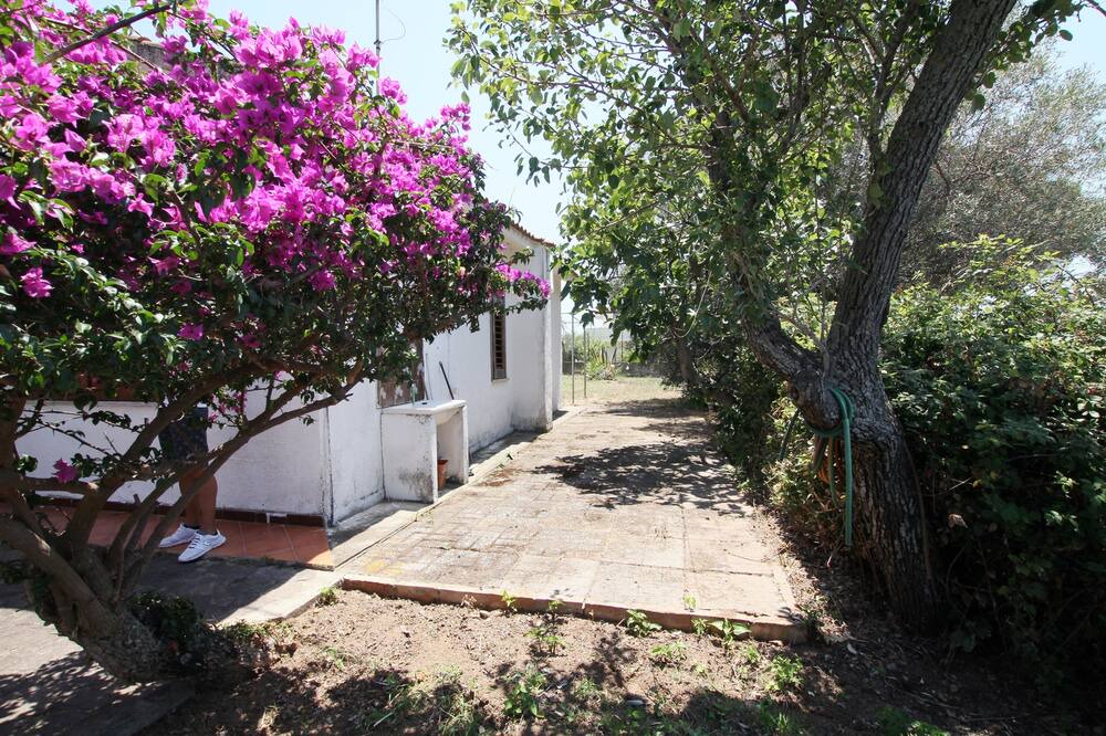 Photo of Outdoor in Torre Ruffa