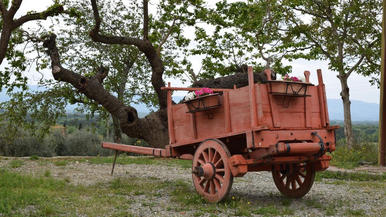 Photo of Outdoor in Castiglion Fibocchi