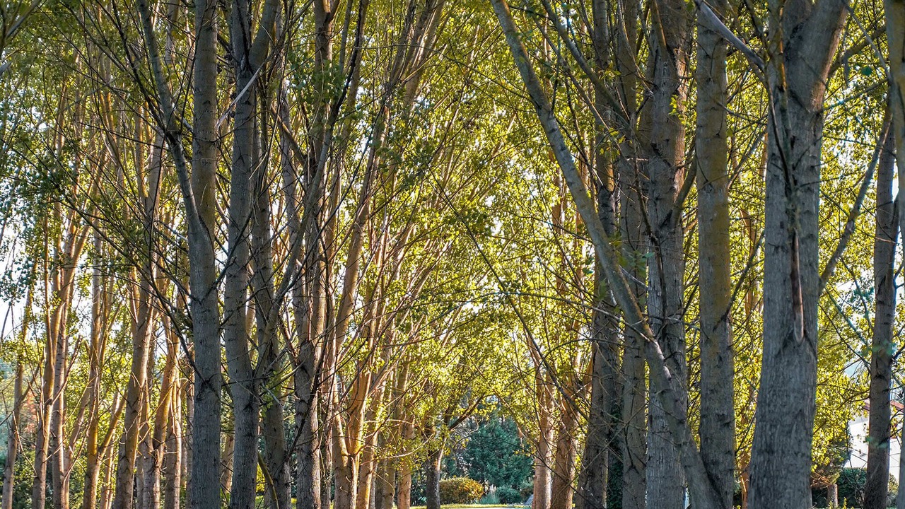Photo of Outdoor in Reggello