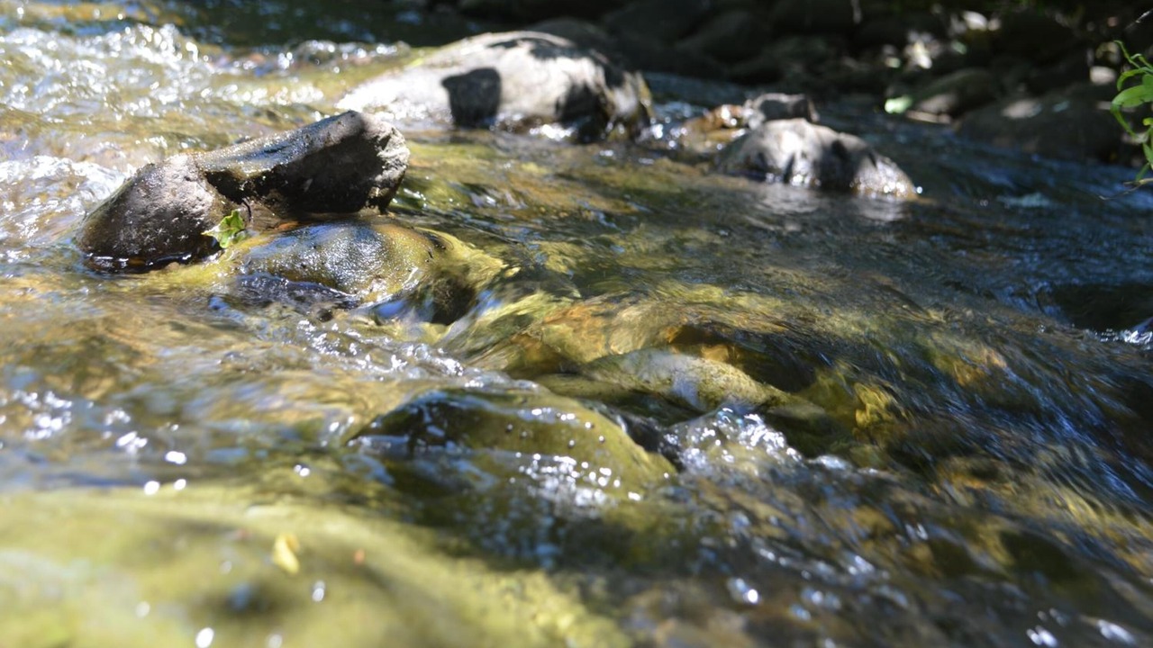 Photo of Outdoor in Terranuova Bracciolini
