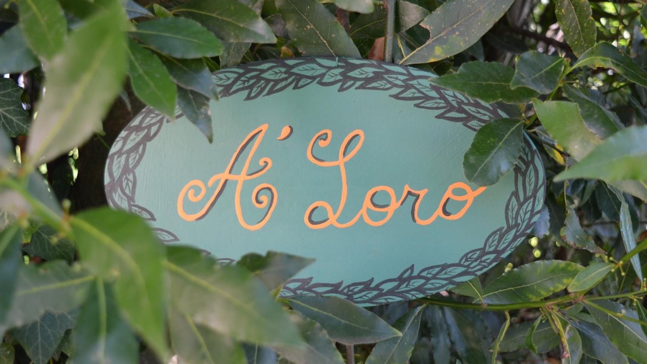 Photo of Outdoor in Terranuova Bracciolini