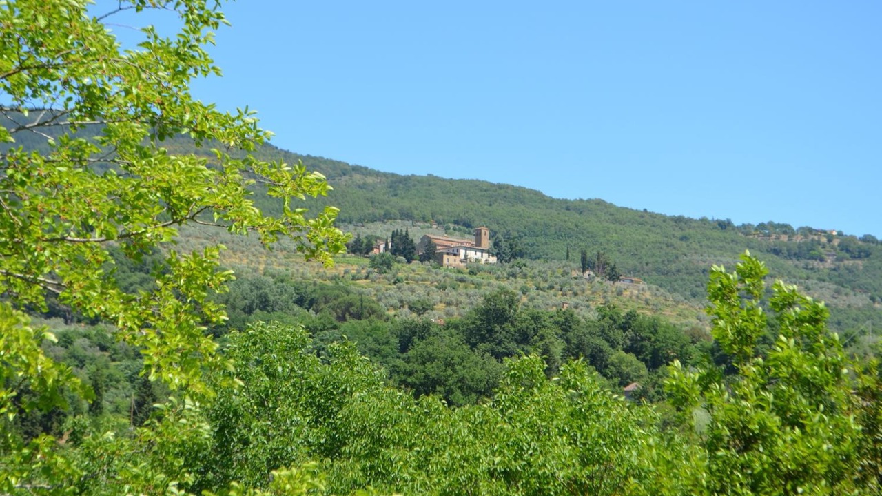 Photo of Others in Terranuova Bracciolini