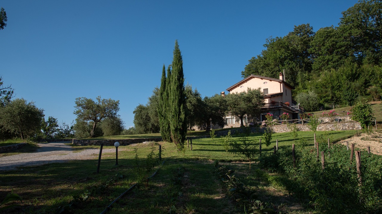Photo of Outdoor in Rotonda