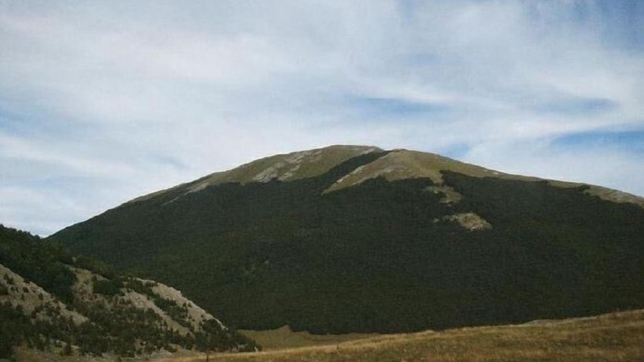 Photo of Outdoor in Rotonda