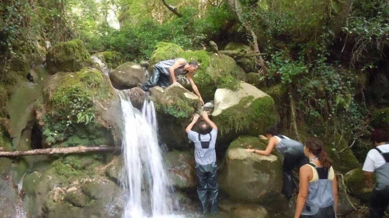 Photo of Outdoor in Rotonda