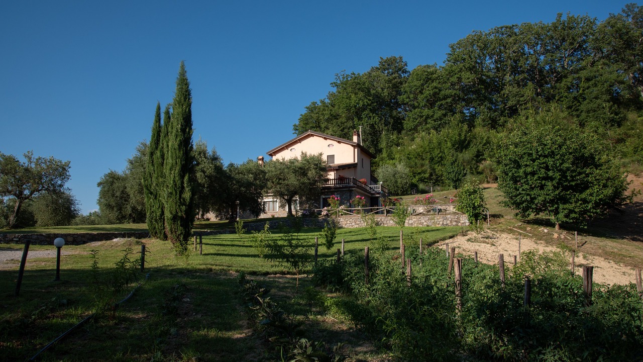 Photo of Outdoor in Rotonda