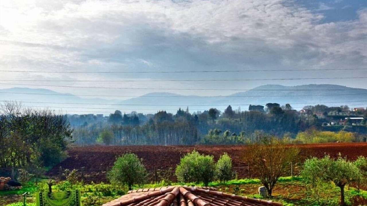 Photo of Others in Valmontone