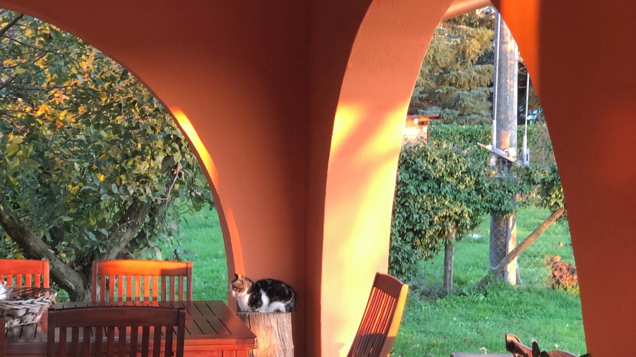 Photo of Outdoor in Valmontone