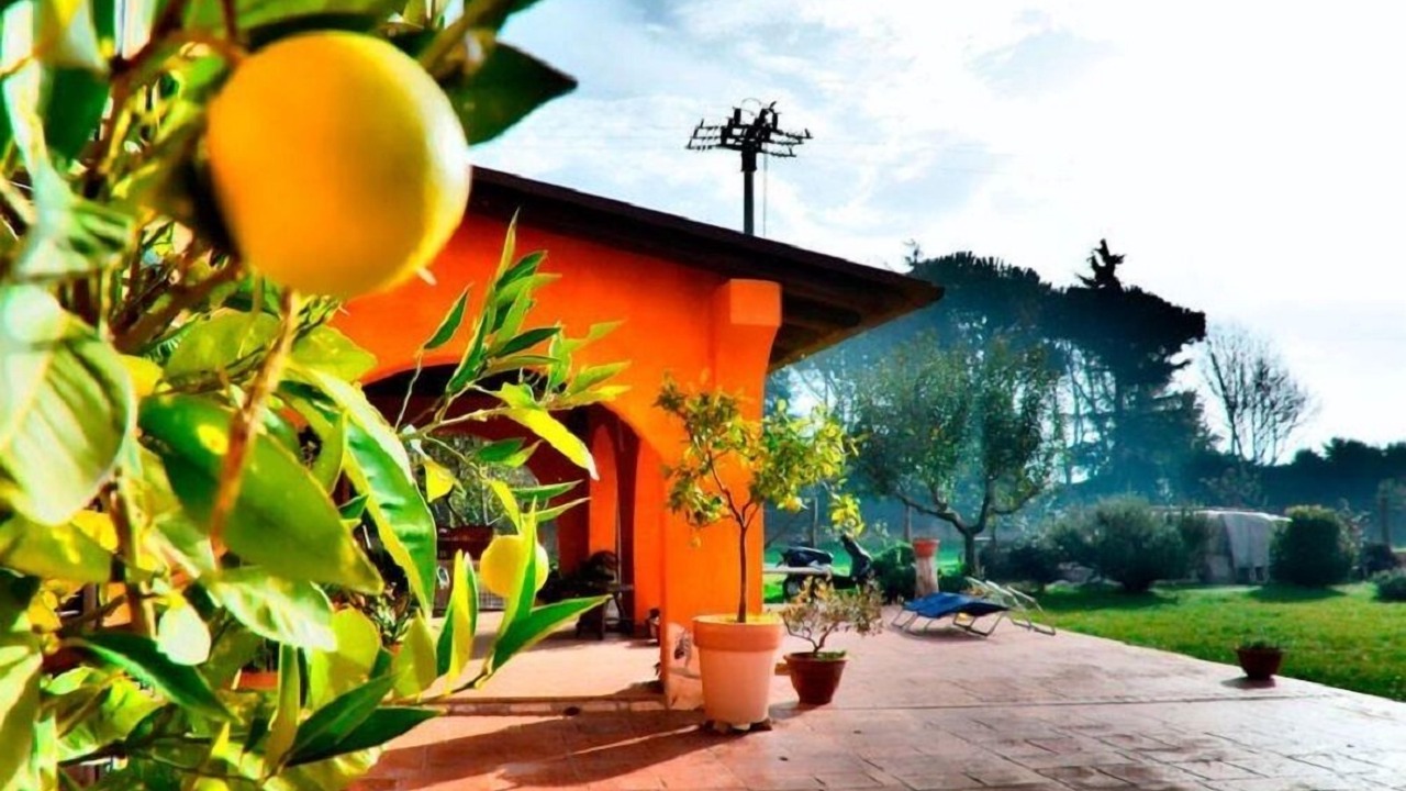 Photo of Outdoor in Valmontone