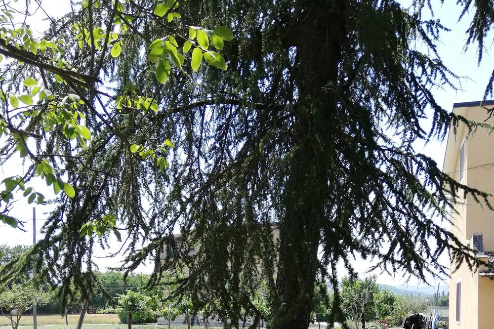 Photo of Outdoor in Benevento
